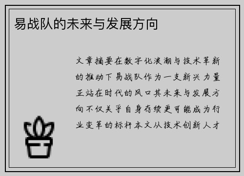 易战队的未来与发展方向